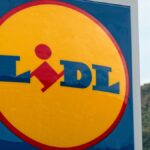 De piramidevormige bloemenplant, een must voor balkons, is nu verkrijgbaar bij LIDL voor slechts 7 €